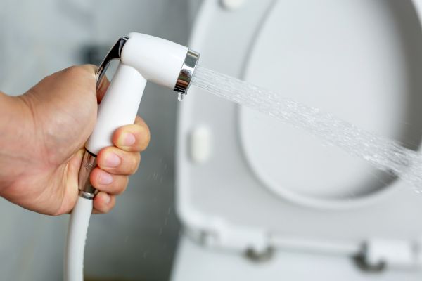 Cost of Bidet Installation in Millsboro