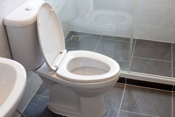 Cost of Toilet Replacement in Millsboro