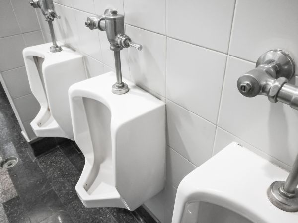 Cost of Urinal Installation in Millsboro