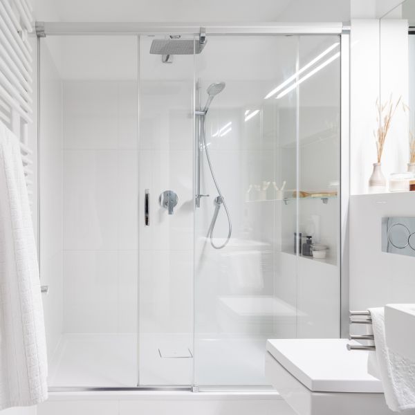 Cost of Shower Repair in Millsboro