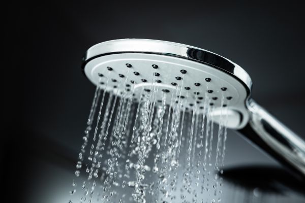 Cost of Shower Head Replacement in Millsboro