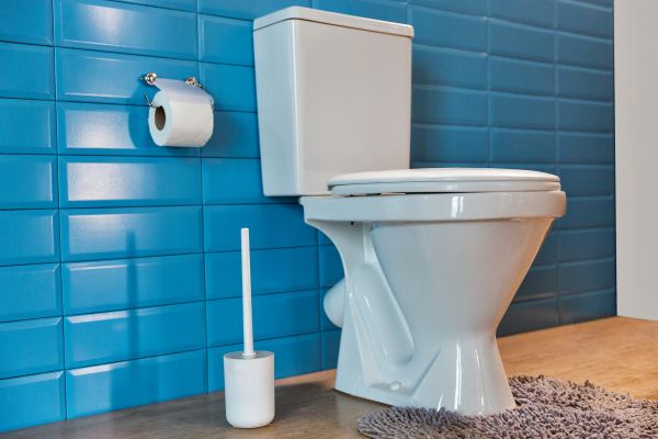 Cost of Toilet Tank Repair in Millsboro