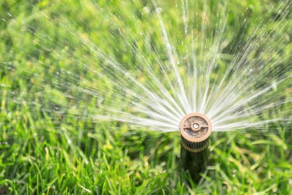Cost of Spigot Installation in Millsboro