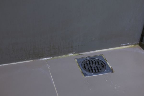 Cost of Bathroom Drain Installation in Millsboro