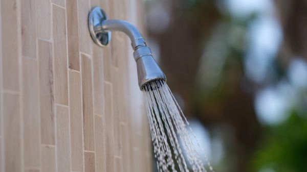 Cost of Showerhead Repair in Millsboro