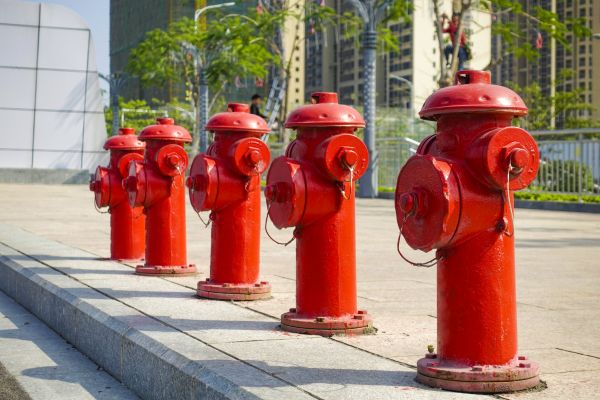 Cost of Commercial Hydrant Replacement in Millsboro