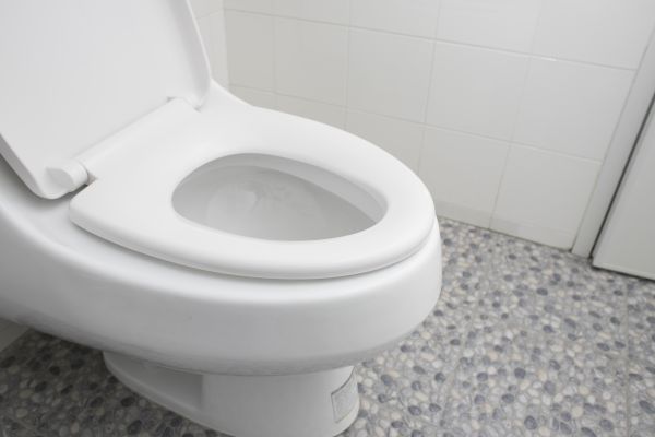 Cost of New Toilet Installation in Millsboro