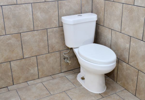 Cost of Basement Toilet Installation in Millsboro