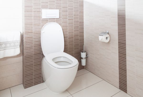 Cost of Toilet Plumbing Installation in Millsboro