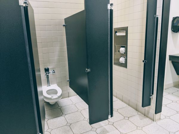 Cost of Commercial Toilet Installation in Millsboro